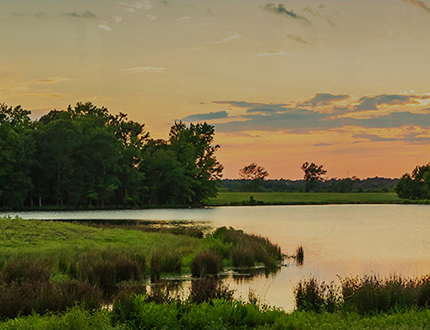 Longview Texas Hotels