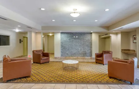 Lobby and Guest Check-in