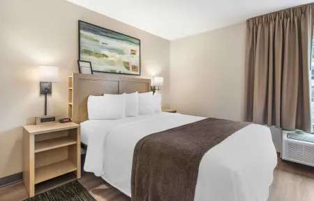 1 Bedroom Suite - 1 Queen Bed