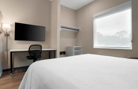 Studio Suite - 1 Queen Bed