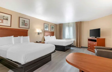 Studio Suite - 2 Queen Beds