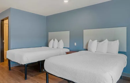 Studio Suite - 2 Full Beds