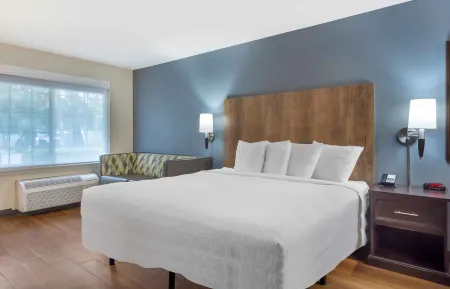 Deluxe Studio - 1 King Bed