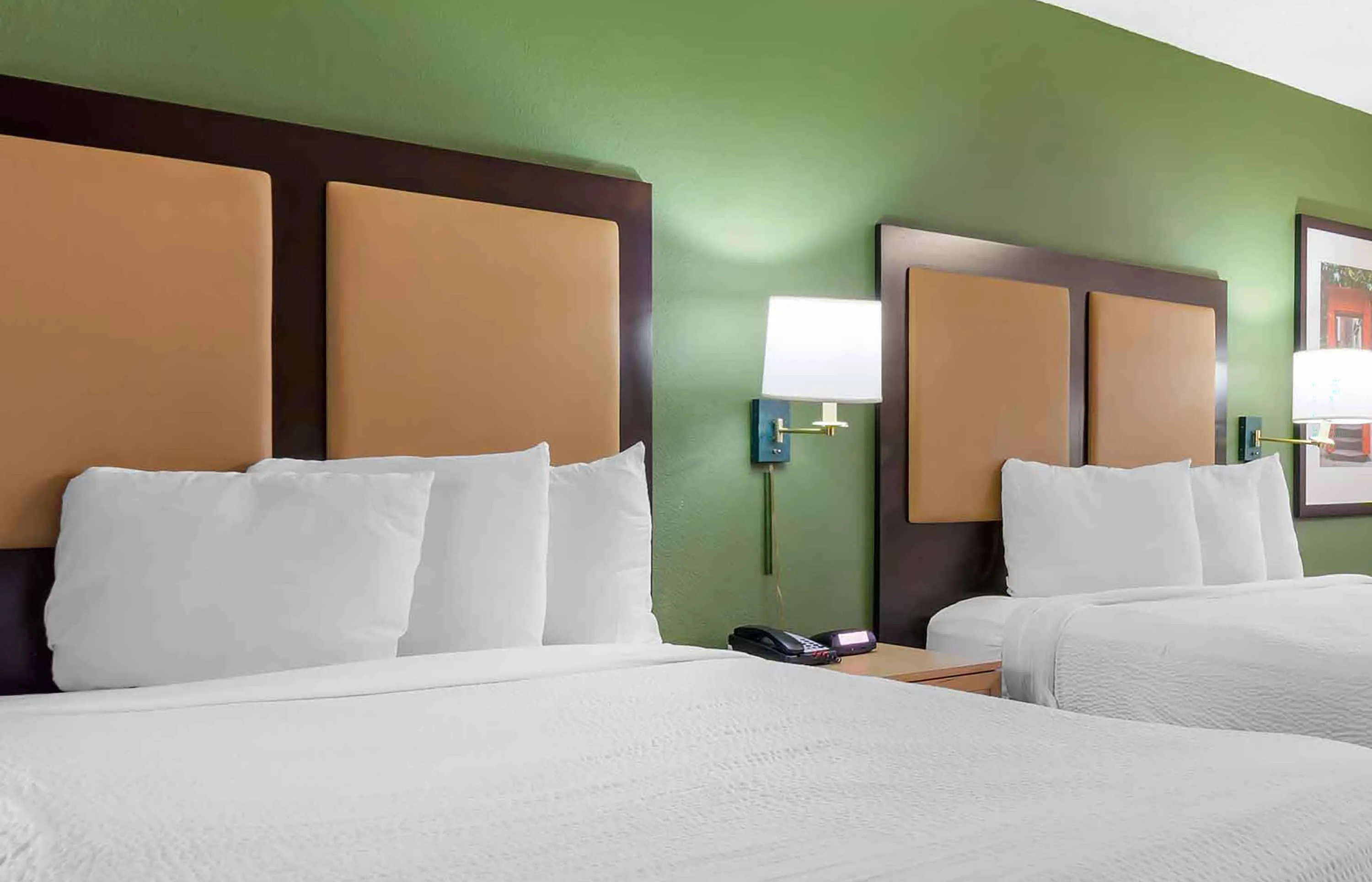 Studio Suite - 2 Queen Beds