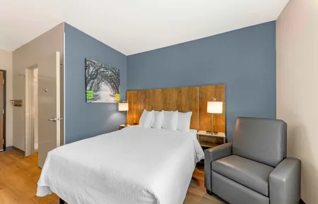 Studio Suite - 1 Queen Bed