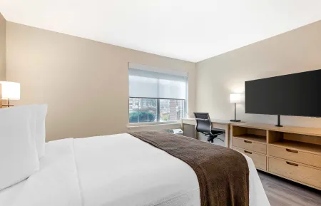 1 Bedroom Suite - 1 Queen Bed