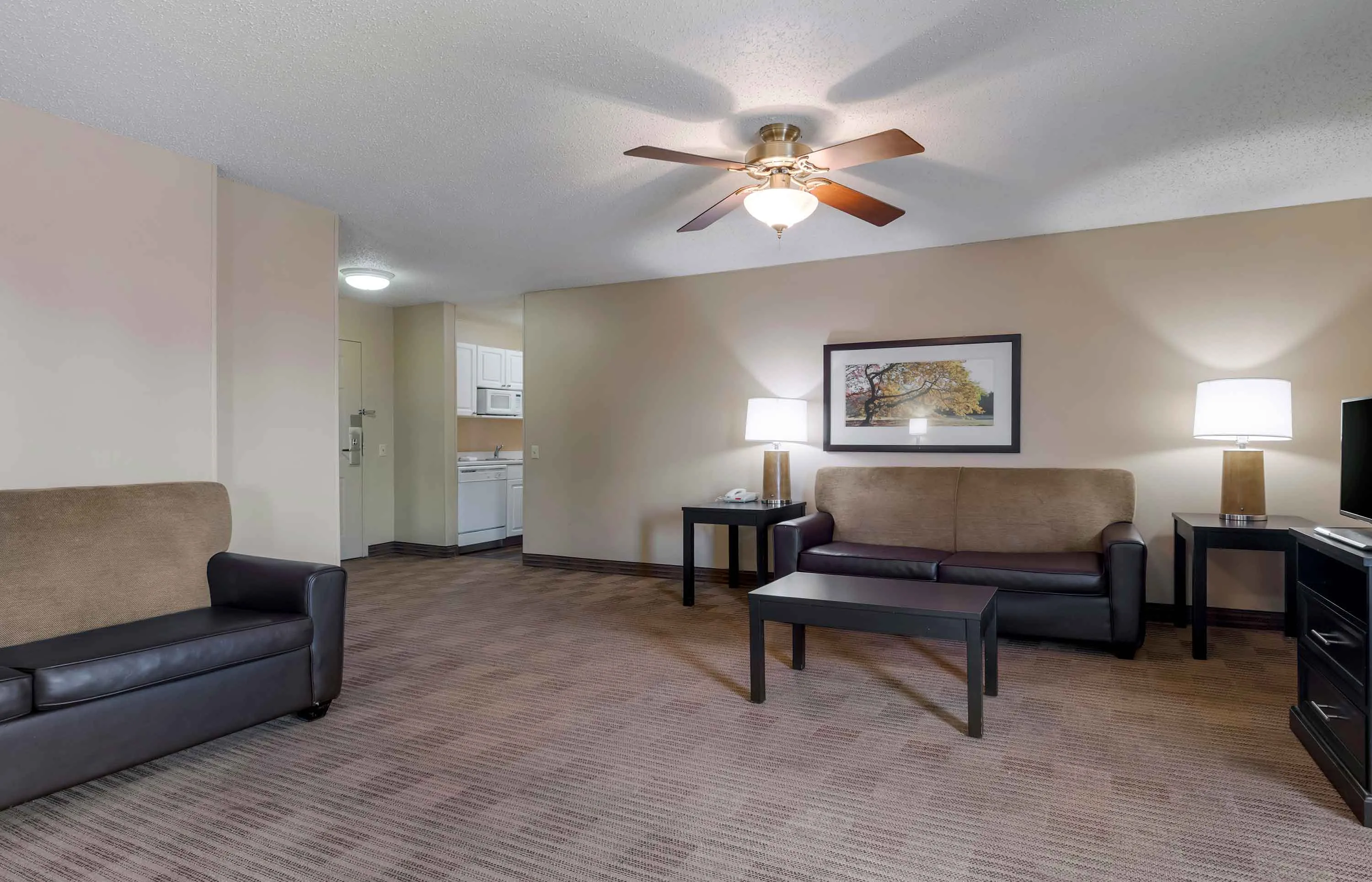 1 Bedroom Suite - 1 King Bed