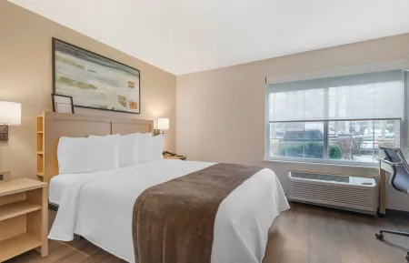 Studio Suite - 1 Queen Bed