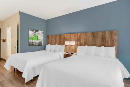 Studio Suite - 2 Queen Beds