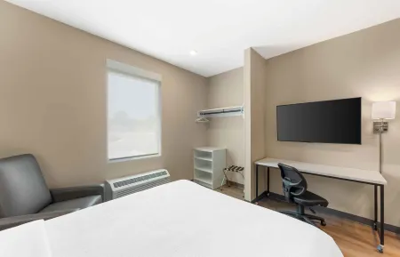 Studio Suite - 1 Queen Bed