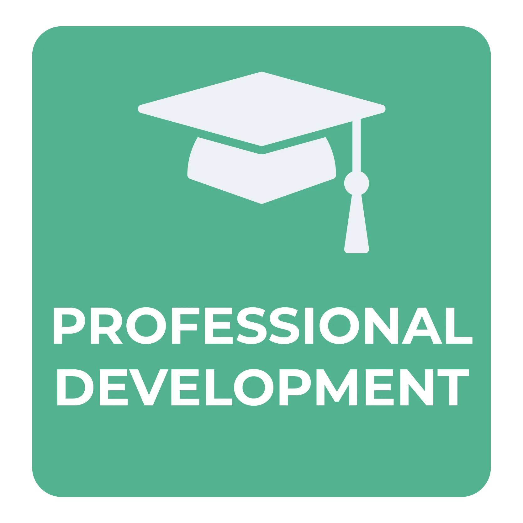 professional development icon