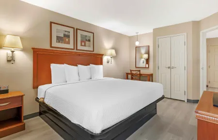 1 Bedroom Suite - 1 King Bed