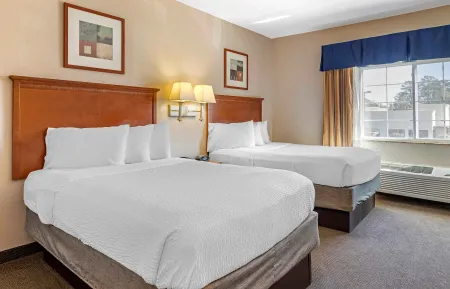 Studio Suite - 2 Full Beds